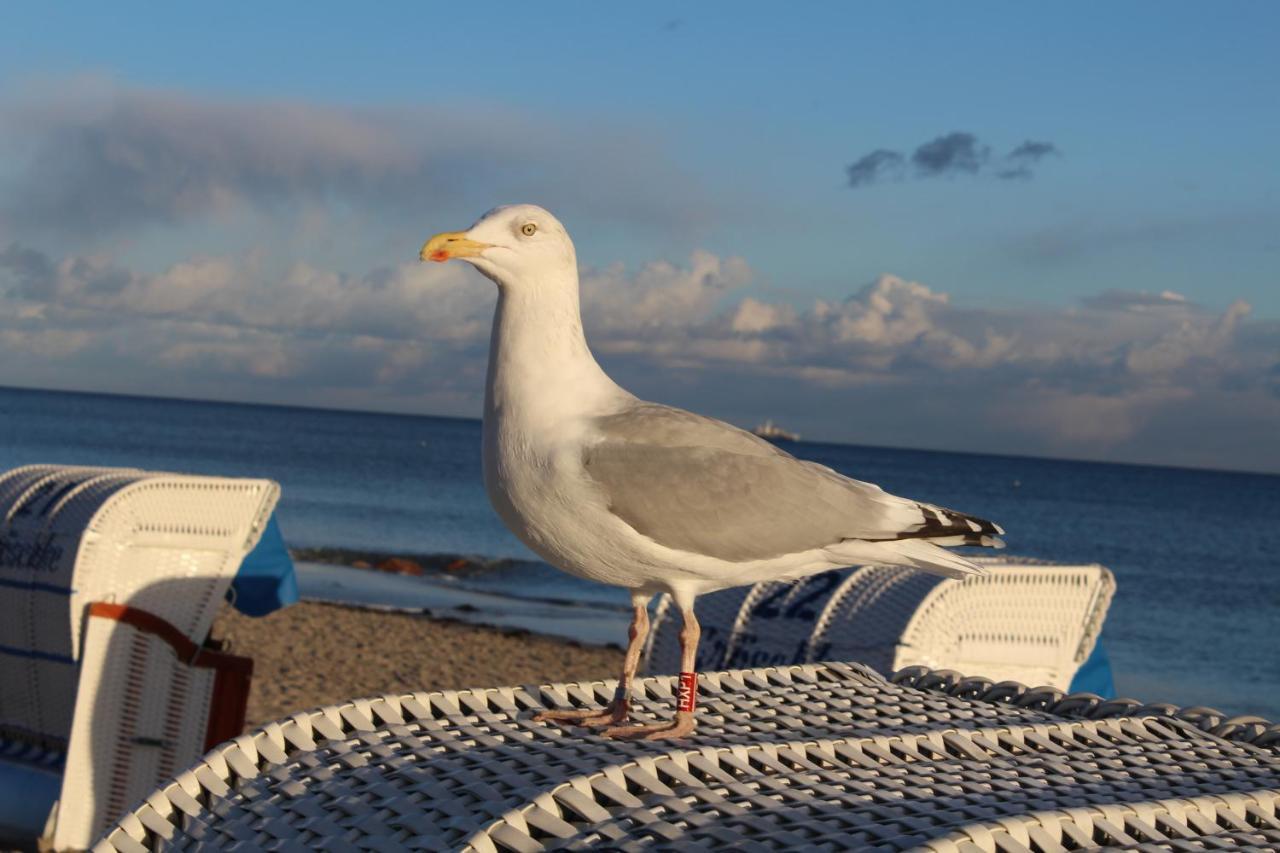 Ferienwohnungen Im Haus Strandburg Grömitz Eksteriør billede